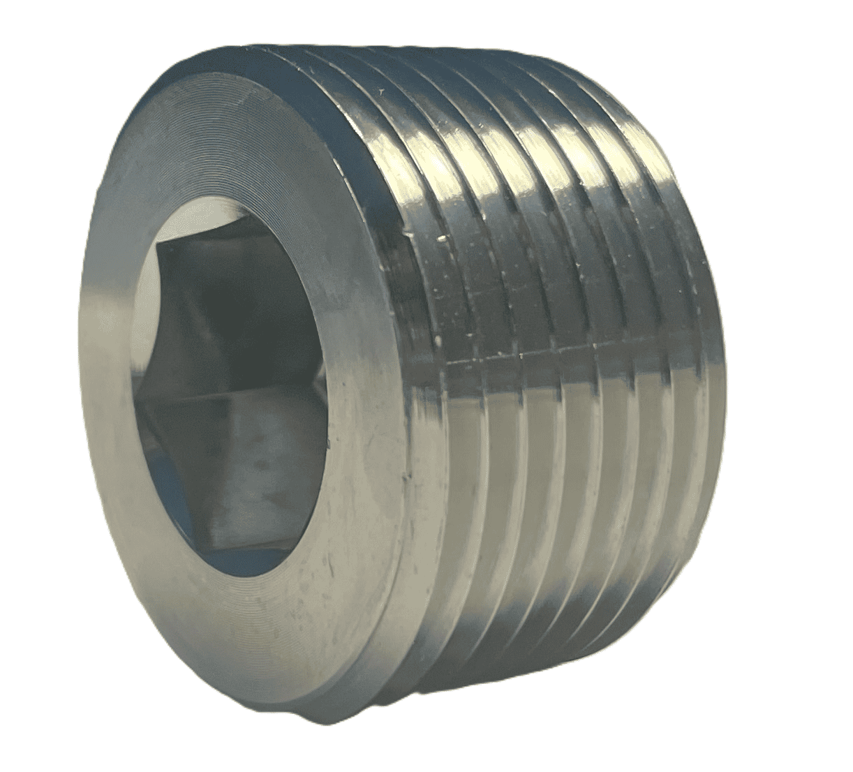 Blindplugg 1/4" NPT insex
