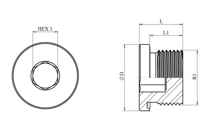 Rostfri blindplugg 3/4'' BSP – bild 2