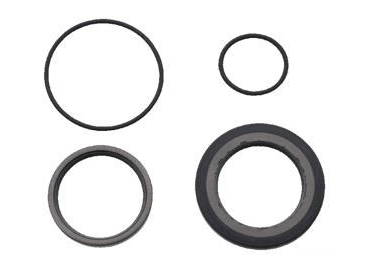 Tätningssats 151F0109 OMS Viton Serie 3