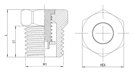 Avluftningsventil 1" BSP med ventil 0.05 bar- 0.35 bar – bild 2