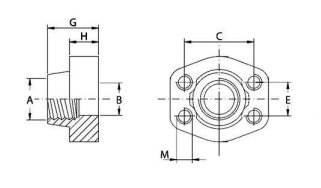Rostfri SAE gängad motfläns (hona) 3"1/2 BSP, 3"1/2 tum, 3000 PSI – bild 3