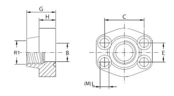 Rostfri SAE gängfläns (hona) 3" BSP, 3 tum, 3000 PSI – bild 3