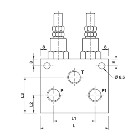 3/8" Dubbel tryckbegränsningsventil 2 x P-T serie VMPD – bild 2