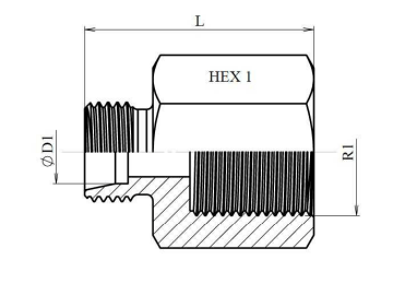 Rostfri reducering adapter 8L Hane - 1/4" BSP hylsa hona – bild 2