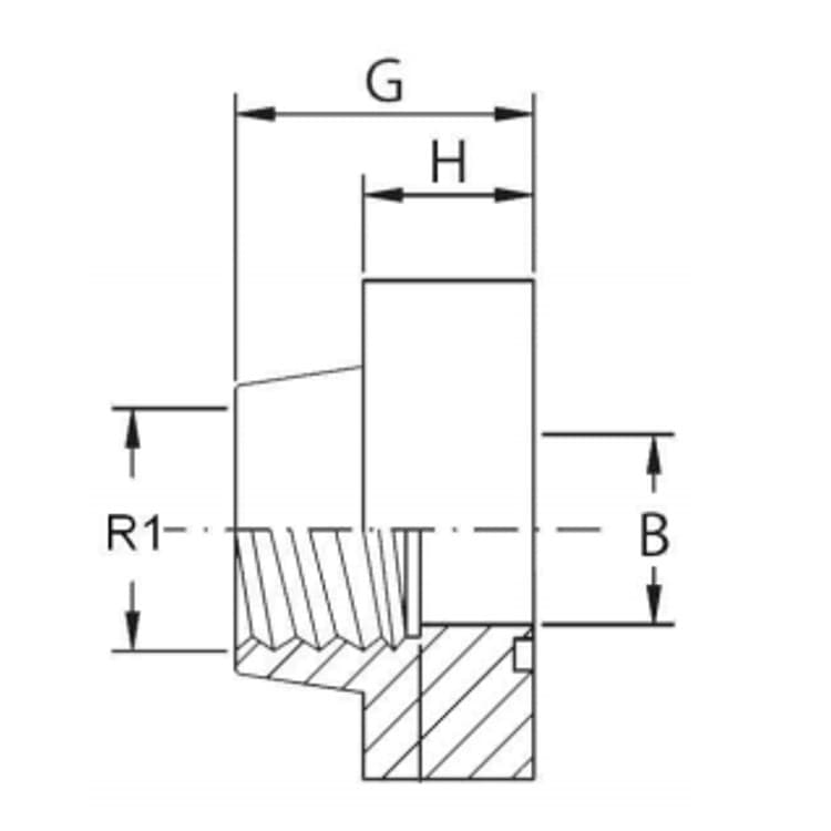 SAE gängfläns (hona) 2" 1/2 BSP, 2" 1/2 tum, 3000 PSI – bild 2