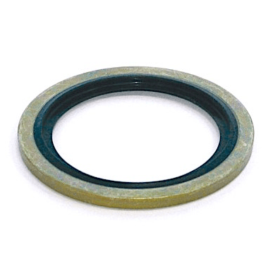 Rostfri multiseal 1/2'' BSP