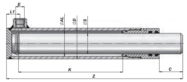 Enkelverkande axialkolvscylinder 50x40x500 utan fästen – bild 2