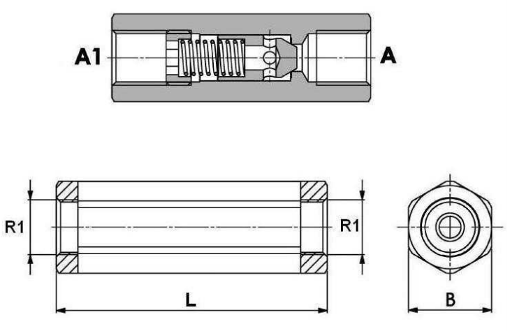 Backventil 1'' 1/2 BSP med öppningstryck 2,5 bar – bild 3