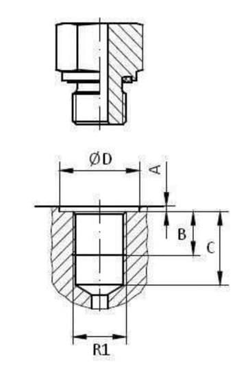 Minimess koppling 1/4'' BSP hane med metall skyddslock – bild 3
