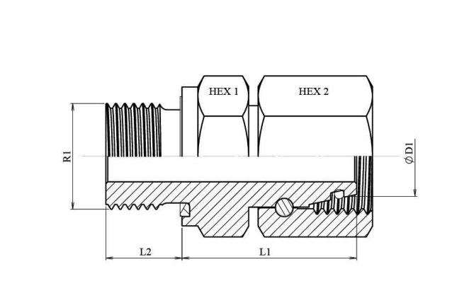 BSP 3/8" - 10L (M16x1,5) hane inskruvningskoppling med svivel – bild 2