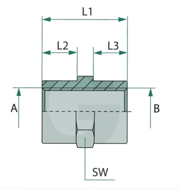 Inskruvningshylsa lång 1/4" - 1/4" BSP rund hona – bild 2