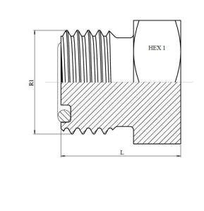 Blindplugg ORFS 2"-12h hane – bild 3