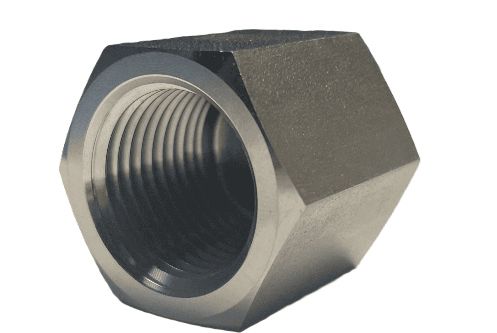 Rostfri blindplugg 3/4" BSP hona
