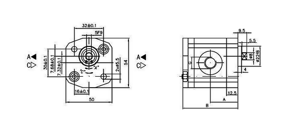 1 cc Kugghjulspump vänster med 8 mm platt axel grupp 00 – bild 3