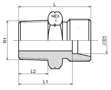 NPT 1" - 28L (M36x2) hane inskruvningskoppling – bild 2
